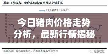 今日猪肉价格走势分析,最新行情揭秘