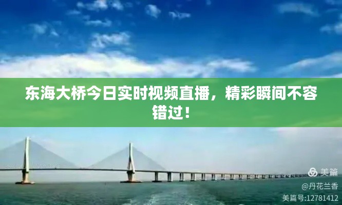 东海大桥今日实时视频直播,精彩瞬间不容错过!