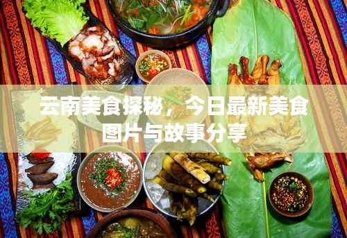 云南美食探秘,今日最新美食图片与故事分享