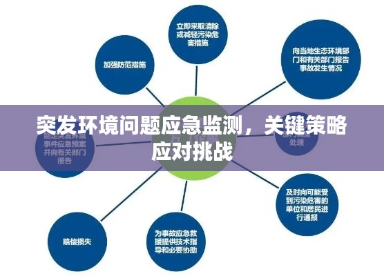 突发环境问题应急监测,关键策略应对挑战