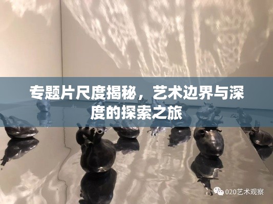 专题片尺度揭秘,艺术边界与深度的探索之旅