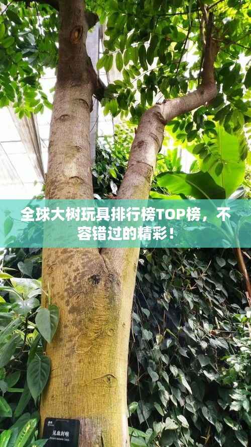 全球大树玩具排行榜TOP榜,不容错过的精彩!