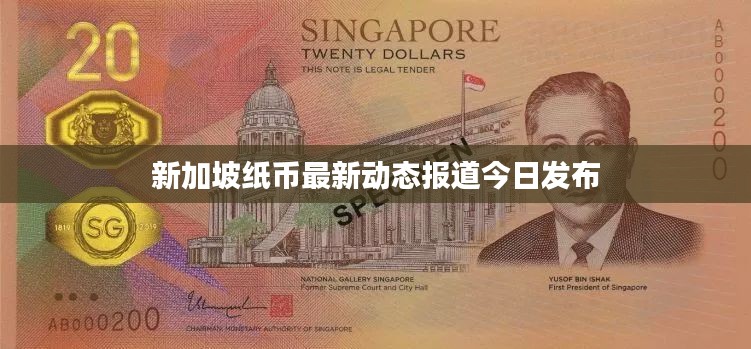 新加坡纸币最新动态报道今日发布