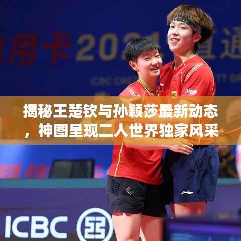 揭秘王楚钦与孙颖莎最新动态,神图呈现二人世界独家风采