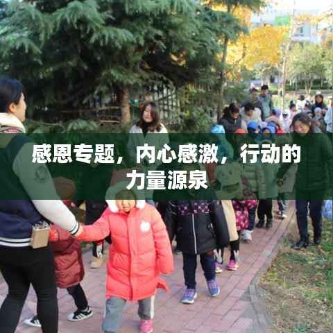 感恩专题,内心感激,行动的力量源泉