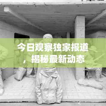 今日观察独家报道,揭秘最新动态