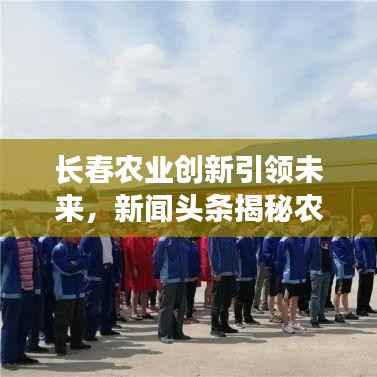 长春农业创新引领未来,新闻头条揭秘农业新动向与发展战略