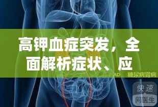 高钾血症突发,全面解析症状、应对与预防方法