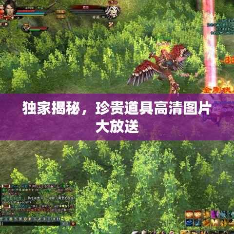 独家揭秘,珍贵道具高清图片大放送