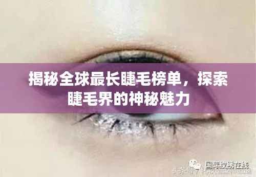 揭秘全球最长睫毛榜单,探索睫毛界的神秘魅力