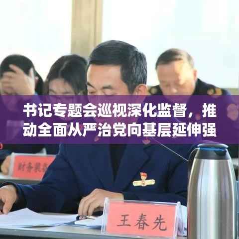书记专题会巡视深化监督,推动全面从严治党向基层延伸强化党内监督力度