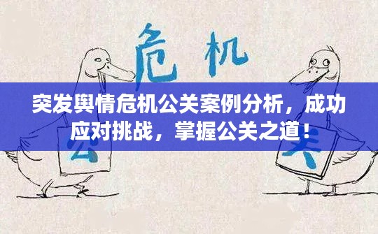 突发舆情危机公关案例分析,成功应对挑战,掌握公关之道!