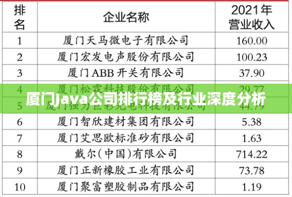 厦门Java公司排行榜及行业深度分析